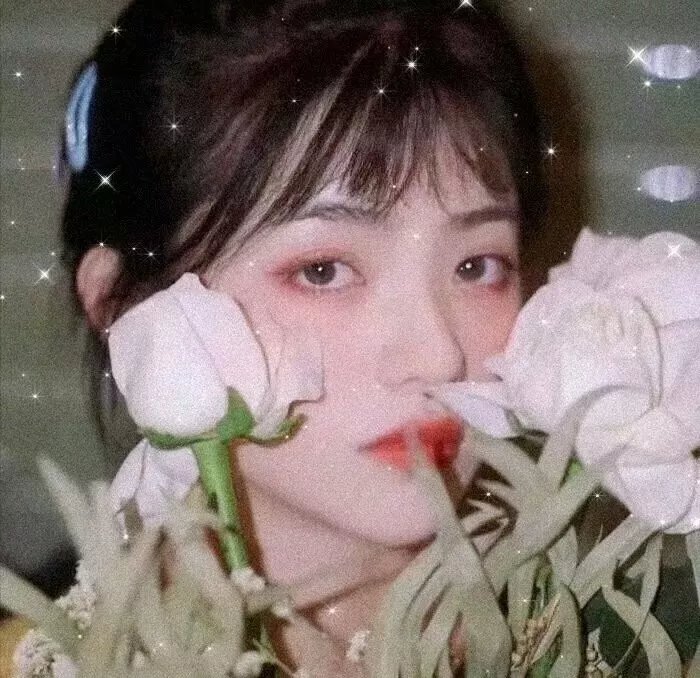 花儿与少年第三季